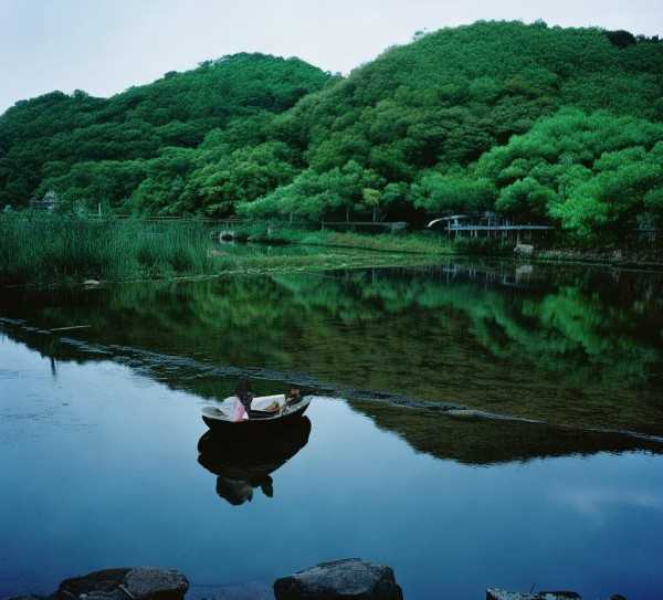 桃花盛开之地，探寻在那桃花盛开的地方的深层诗意